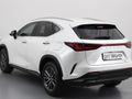 2025 Lexus NX 250 EX
