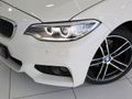 2017 BMW 2 Series 220i Coupe M Sport Auto