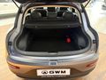 2026 GWM Ora 5 1.5T Super Luxury DCT Auto