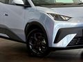 2026 BYD Dolphin Surf Dynamic