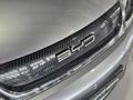 2024 BYD Dolphin Standard Range - Auto
