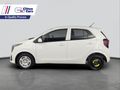 2025 Kia Picanto 1.0 LS
