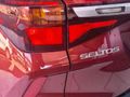 2024 Kia Seltos 1.5D EX+ Auto