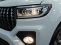 2026 GWM P-Series P300 2.0TD SX Single-Cab