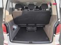 2024 Volkswagen Kombi T6.1 2.0 TDI (110kW) Auto Trendline