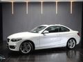 2019 BMW 2 Series 220i Coupe Sport Line Shadow Edition