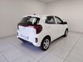 2026 Kia Picanto 1.0 LS Auto