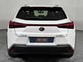 2020 Lexus UX 250h EX