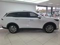 2026 Chery Tiggo 9 2.0T Pinnacle
