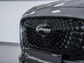2026 Lepas L4 1.5 Amur