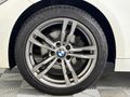 2015 BMW 3 Series 316i Auto