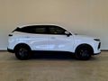 2026 Lepas L4 1.5 Amur