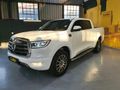2022 GWM P-Series PV 2.0 TD LS Auto Double-Cab