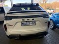 2025 Haval H6 GT 2.0T Super Luxury 4X4 Auto