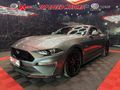 2023 Ford Mustang 5.0 GT Auto