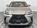 2023 Lexus NX 250 EX