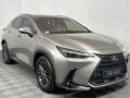 2023 Lexus NX 250 EX
