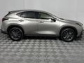 2023 Lexus NX 250 EX