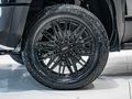 2026 BYD Shark 6 2.0T DMO Performance AWD (Phev)