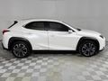 2019 Lexus UX 200 EX