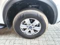 2023 Ford Ranger 2.0D XL 4x4 Double Cab Auto