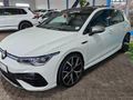 2024 Volkswagen Golf 8 2.0 TSI R DSG