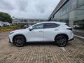 2026 Lexus NX 350h SE
