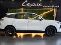 2026 Lepas L4 1.5 Amur