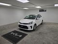 2025 Kia Pegas 1.4 LX
