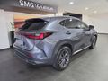2024 Lexus NX 350h EX