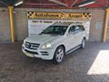 2010 Mercedes-Benz GL 350 CDI BE