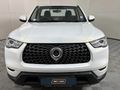 2022 GWM P-Series CV 2.0 TD SX Single-Cab