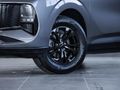 2026 Lepas L4 1.5 Amur