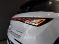 2025 BYD Dolphin Extended