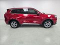 2025 Ford Territory 1.8T Trend