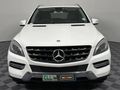 2015 Mercedes-Benz ML 350 Bluetec