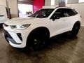 2022 Haval H6 GT 2.0T Super Luxury 4X4 Auto