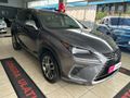 2018 Lexus NX 2.0T EX | 300 EX