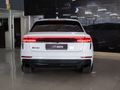 2024 Audi RSQ8 quattro (441kW)