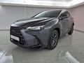 2026 Lexus NX 350h EX