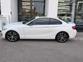 2019 BMW 2 Series 220i Coupe Sport Line Shadow Edition