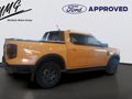 2026 Ford Ranger 2.0D Bi-Turbo Wildtrak 4X4 Double Cab Auto