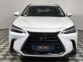 2022 Lexus NX 250 EX