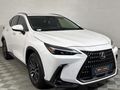 2022 Lexus NX 250 EX
