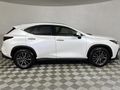 2022 Lexus NX 250 EX