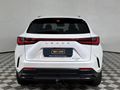 2022 Lexus NX 250 EX