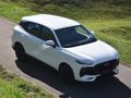 2026 Lepas L4 1.5 Amur