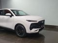 2026 Lepas L4 1.5 Amur