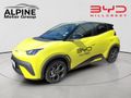 2026 BYD Dolphin Surf Dynamic