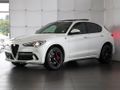 2023 Alfa Romeo Stelvio 2.9T V6 Quadrifoglio